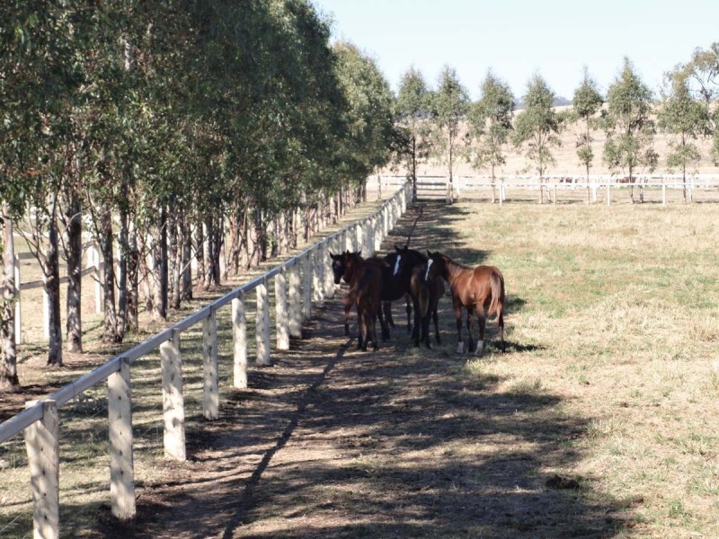 200 Allen Road, Greenmount East QLD 4359