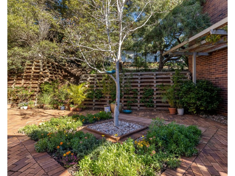 1B Bridge Street, Mount Lofty QLD 4350