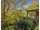 1B Bridge Street, Mount Lofty QLD 4350