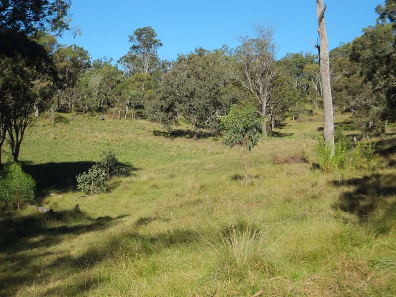 844 Merritts Creek Road, Hampton QLD 4352