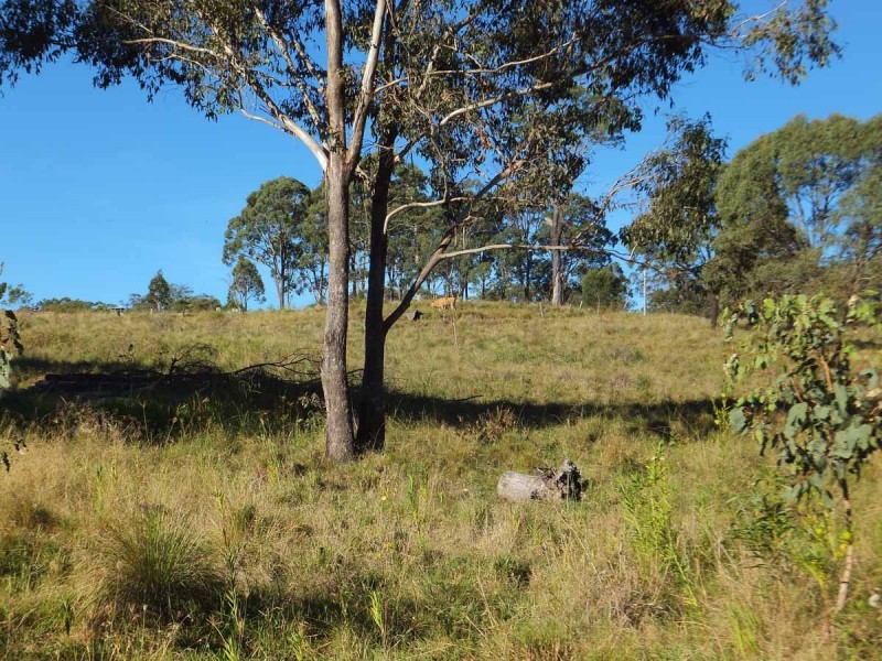 844 Merritts Creek Road, Hampton QLD 4352