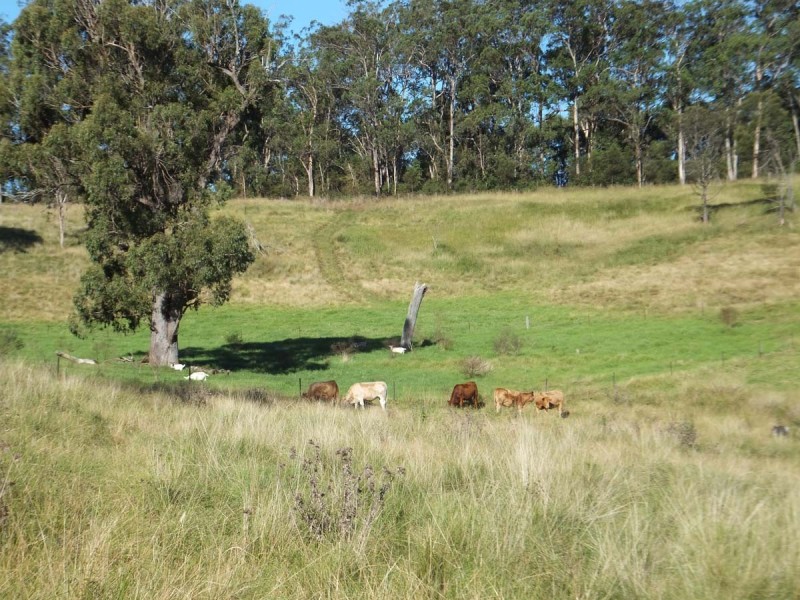 844 Merritts Creek Road, Hampton QLD 4352