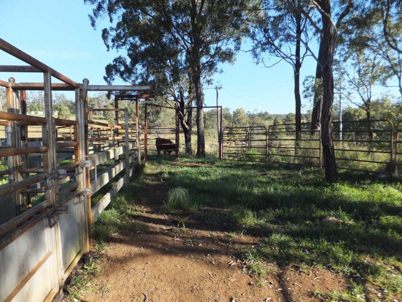 844 Merritts Creek Road, Hampton QLD 4352