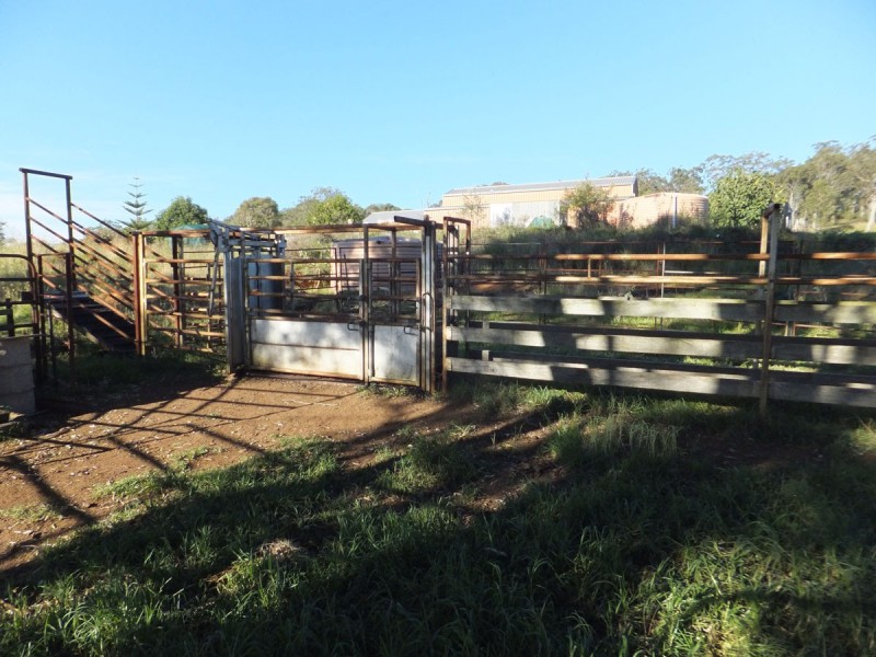 844 Merritts Creek Road, Hampton QLD 4352