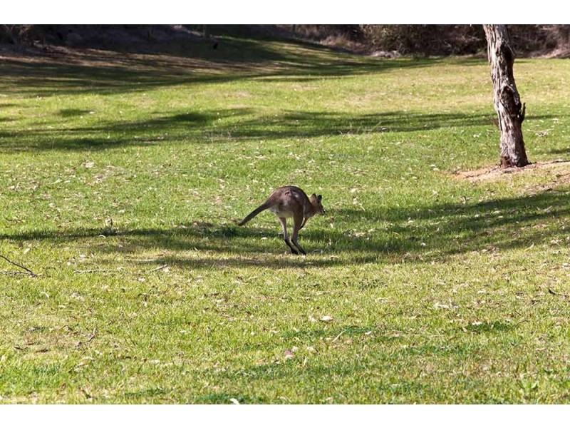 9 Rangeview Drive, Top Camp QLD 4350