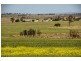 “Bevell-Dean” Lot 1 Millmerran Road, Yarranlea QLD 4356