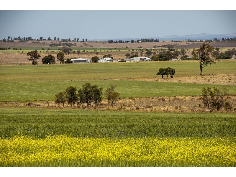 “Bevell-Dean” Lot 1 Millmerran Road, Yarranlea QLD 4356