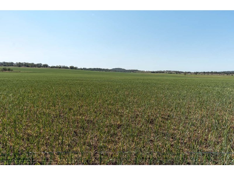 “Bevell-Dean” Lot 1 Millmerran Road, Yarranlea QLD 4356