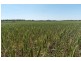 “Bevell-Dean” Lot 1 Millmerran Road, Yarranlea QLD 4356