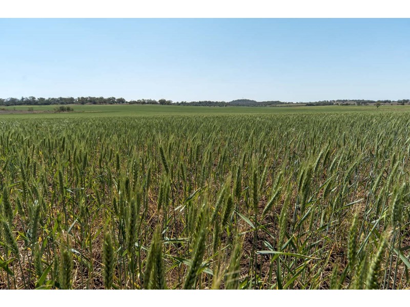 “Bevell-Dean” Lot 1 Millmerran Road, Yarranlea QLD 4356