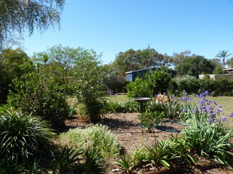 11 Langton Crescent, Oakey QLD 4401