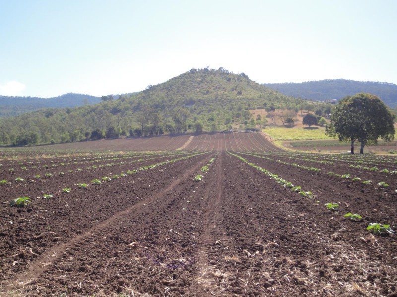 545 Mount Sylvia Road, Upper Tenthill QLD 4343