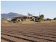48 Murphy Access Road, Lower Tenthill QLD 4343