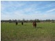 639 Heckendorf Road, Millmerran QLD 4357
