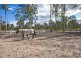 122 Tillack Road, Gatton QLD 4343