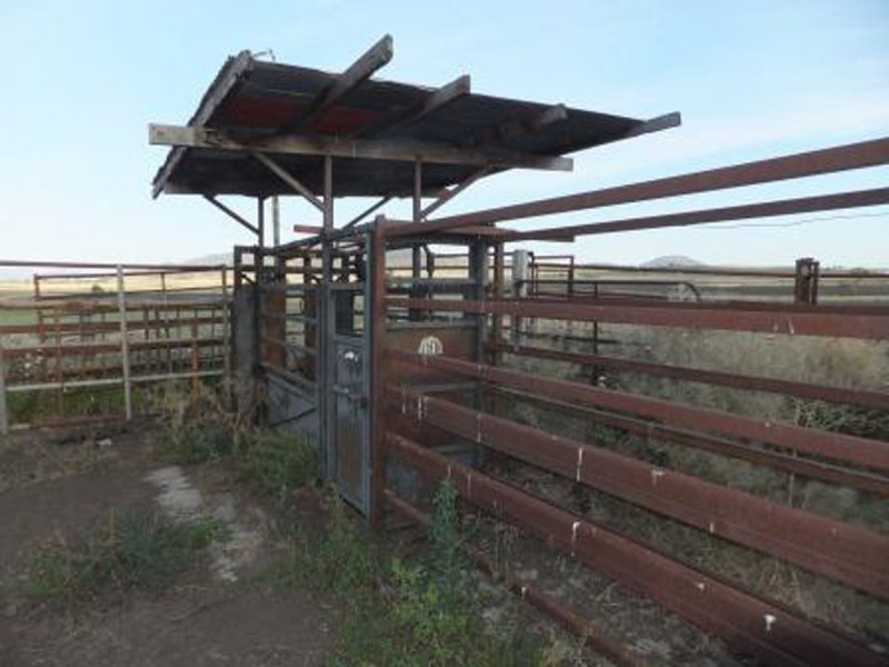 101 Doyles Road, Clintonvale QLD 4370