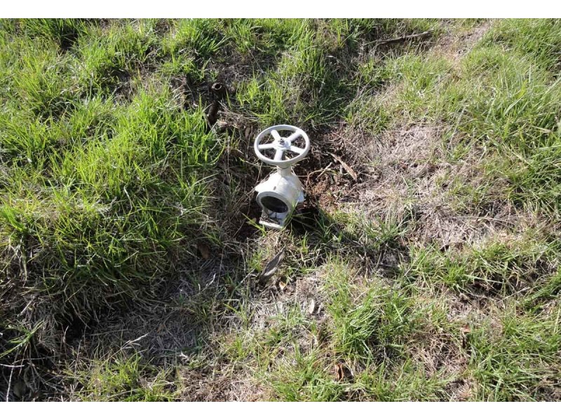 101 Doyles Road, Clintonvale QLD 4370