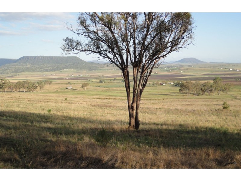 101 Doyles Road, Clintonvale QLD 4370