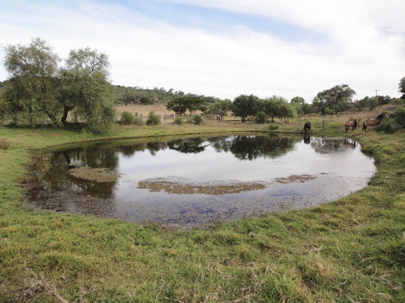 Lot 2 Gowrie-Lilyvale Road, Glencoe QLD 4352