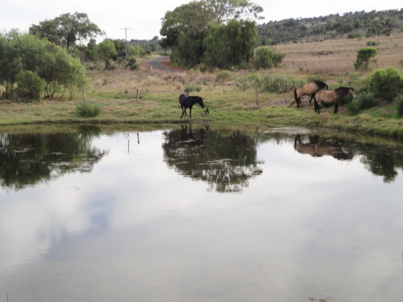 Lot 2 Gowrie-Lilyvale Road, Glencoe QLD 4352