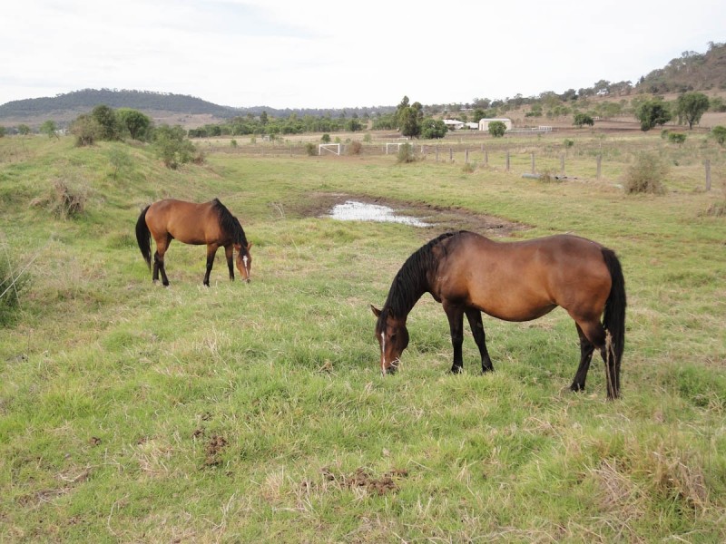 Lot 2 Gowrie-Lilyvale Road, Glencoe QLD 4352