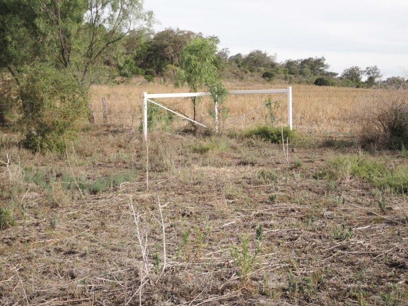 Lot 2 Gowrie-Lilyvale Road, Glencoe QLD 4352