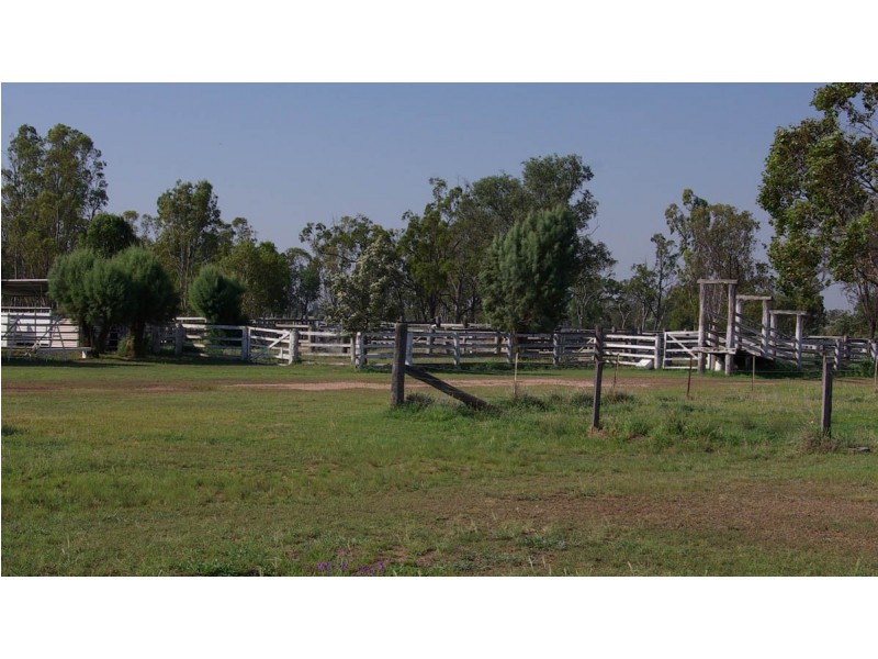 “Kent Farm” 312 Jackson Wandoan Road, Jackson QLD 4426