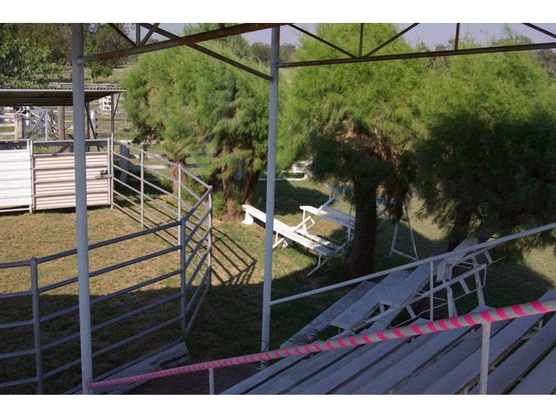 “Kent Farm” 312 Jackson Wandoan Road, Jackson QLD 4426