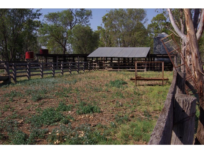 “Kent Farm” 312 Jackson Wandoan Road, Jackson QLD 4426