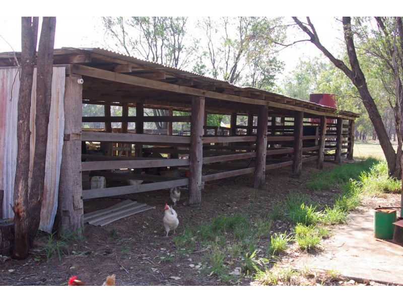 “Kent Farm” 312 Jackson Wandoan Road, Jackson QLD 4426