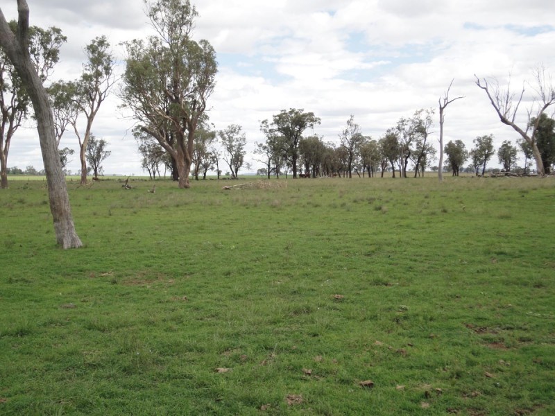 587 Wyreema Athol Road, Wyreema QLD 4352