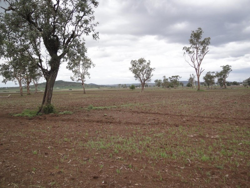 587 Wyreema Athol Road, Wyreema QLD 4352