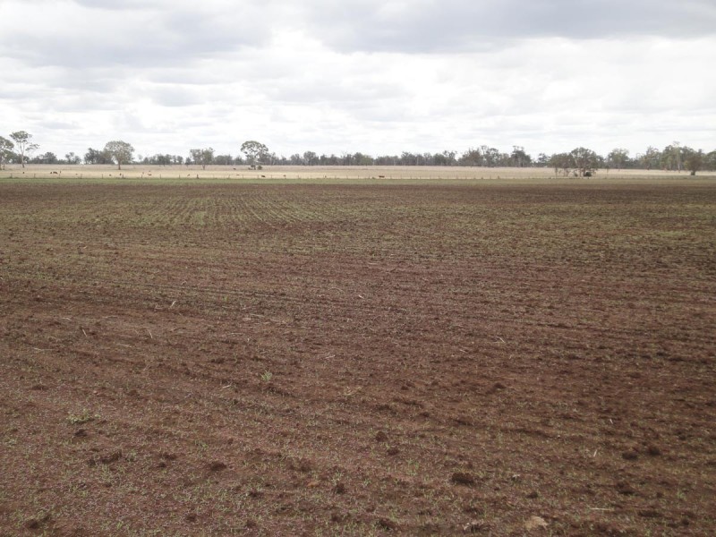 587 Wyreema Athol Road, Wyreema QLD 4352