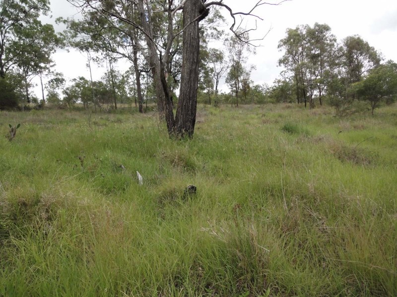 Lot 11 Hell Hole Creek Road, Preston QLD 4352