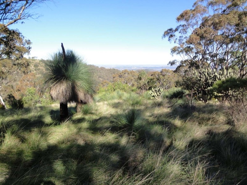 Lot 1, 2 and 6 Dorman’s Gully Road, Bunya Mountains QLD 4405