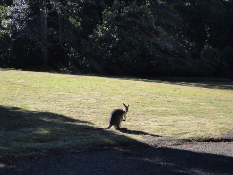 Lot 1, 2 and 6 Dorman’s Gully Road, Bunya Mountains QLD 4405