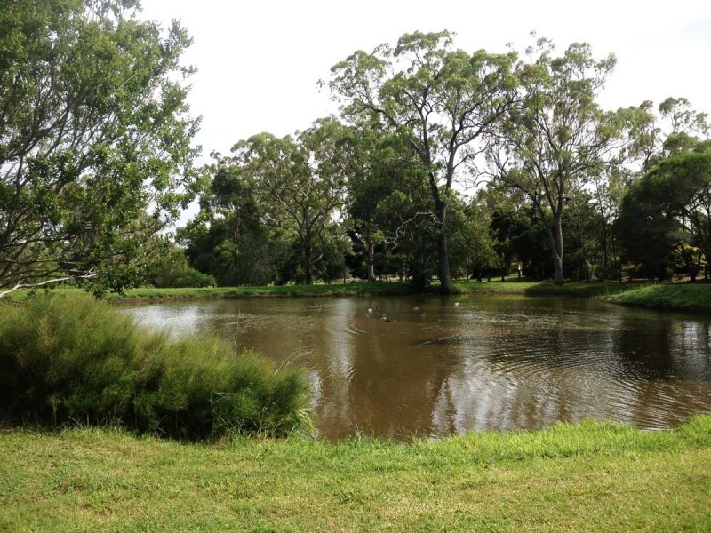 15 Coopers Road, Glenvale QLD 4350