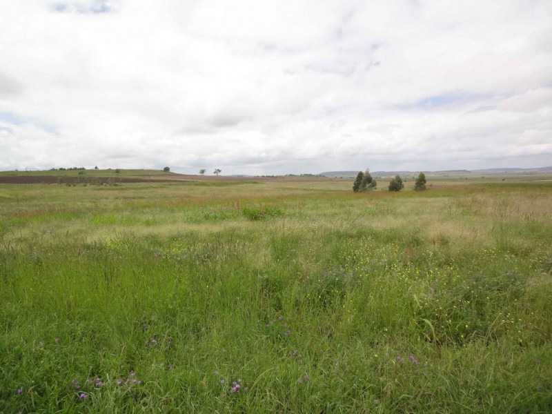 Lot 2 Rosenbergers Road, Cambooya QLD 4358