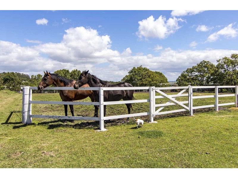 7 Birdland Drive, Glenvale QLD 4350