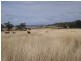 ” Larian Lea “, Southbrook QLD 4363