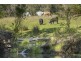 Southbranch Farm, Maryvale QLD 4370