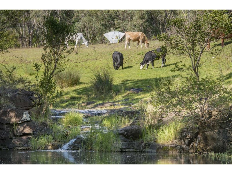 Southbranch Farm, Maryvale QLD 4370