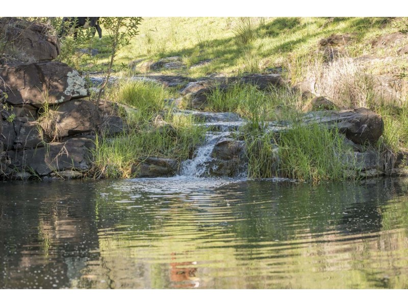 Southbranch Farm, Maryvale QLD 4370