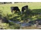 Southbranch Farm, Maryvale QLD 4370