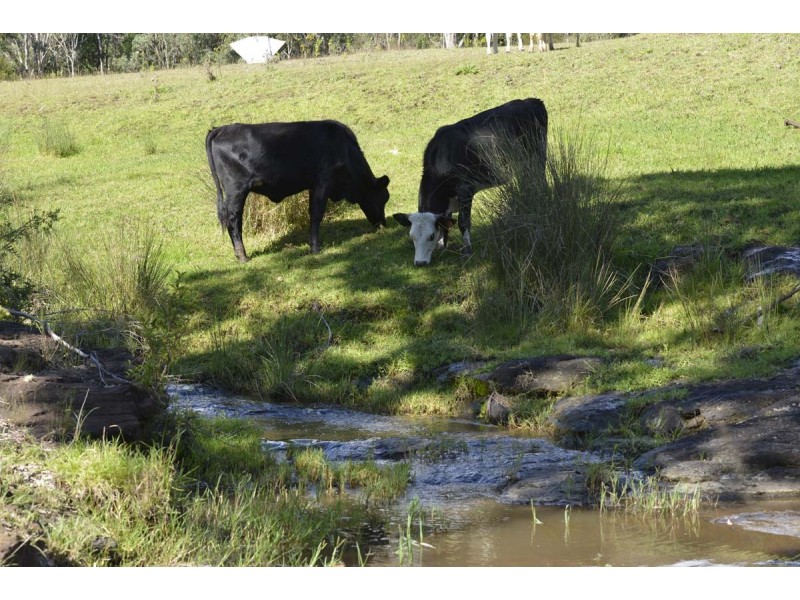 Southbranch Farm, Maryvale QLD 4370