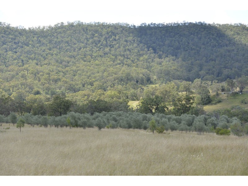 Southbranch Farm, Maryvale QLD 4370