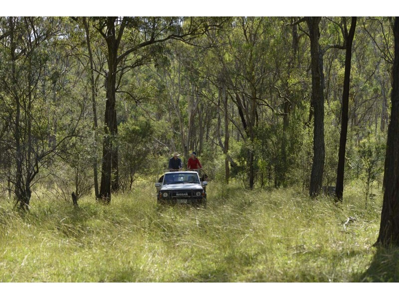 Southbranch Farm, Maryvale QLD 4370