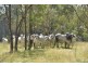 Southbranch Farm, Maryvale QLD 4370