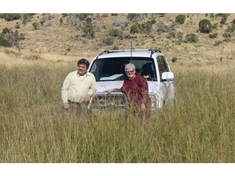 ” The Glen “, Maclagan QLD 4352