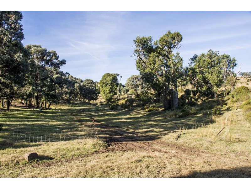 ” The Glen “, Maclagan QLD 4352